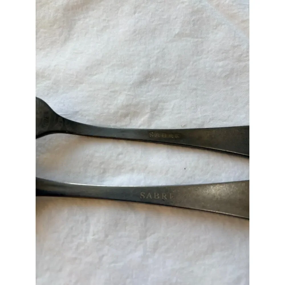 NEW Sabre Paris Marius Stainless Steel Soup Spoon & Dinner Fork Set